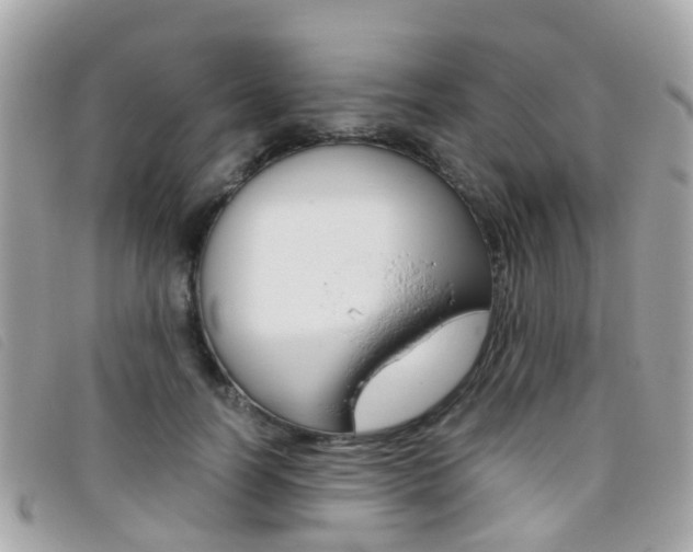 X0000095950746200801110915