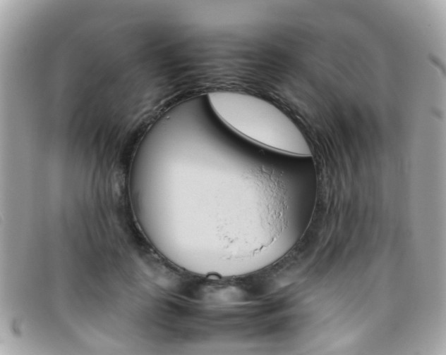 X0000095950747200801110915