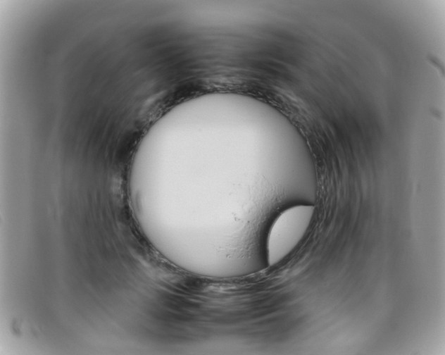X0000095950749200801110915