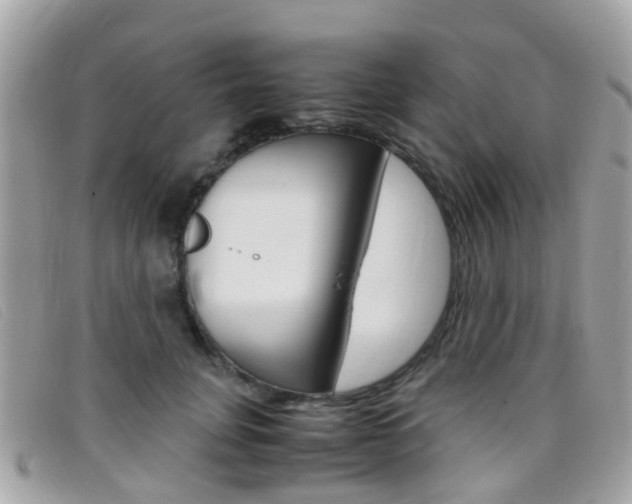 X0000095950751200801110915