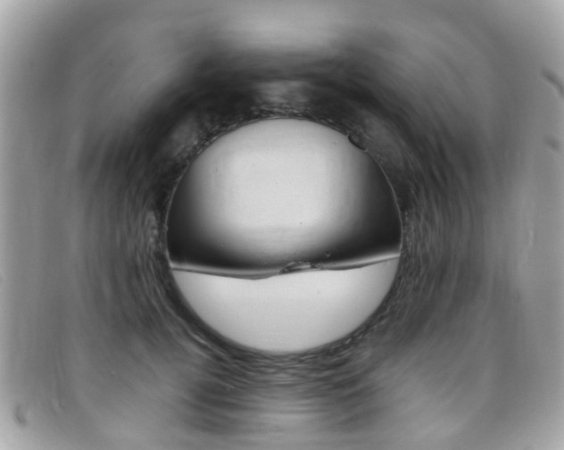 X0000095950752200801110915