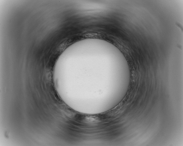 X0000095950753200801110915