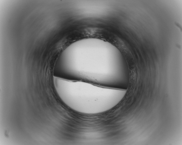 X0000095950754200801110915