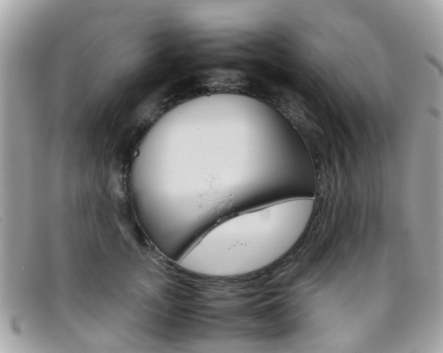 X0000095950755200801110915
