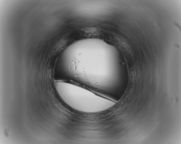 X0000095950756200801110915