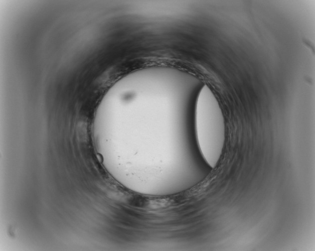 X0000095950757200801110915
