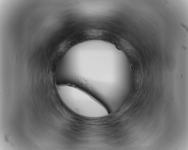 X0000095950758200801110915