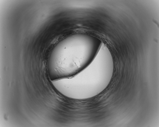 X0000095950759200801110915