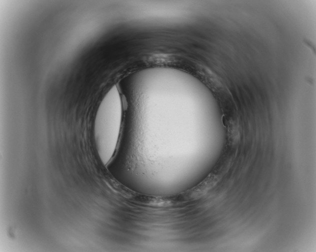 X0000095950760200801110915