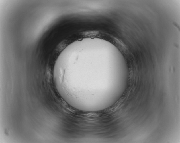 X0000095950761200801110915