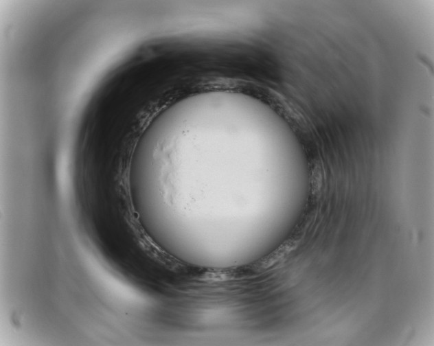 X0000095950764200801110915