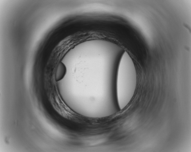 X0000095950765200801110915