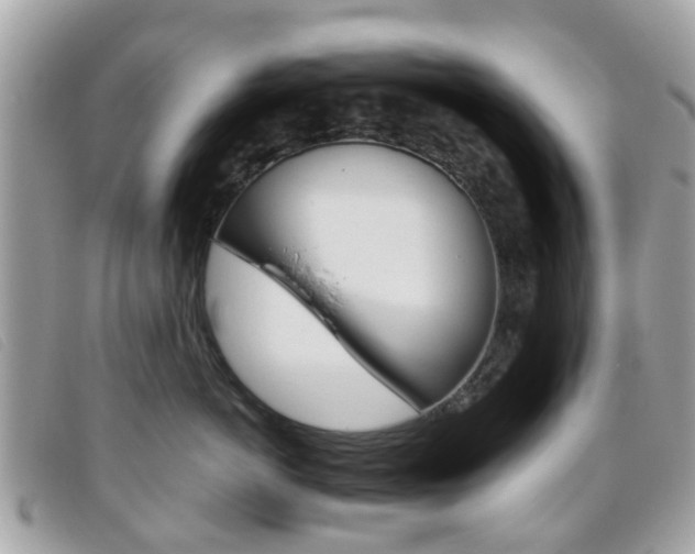 X0000095950766200801110915