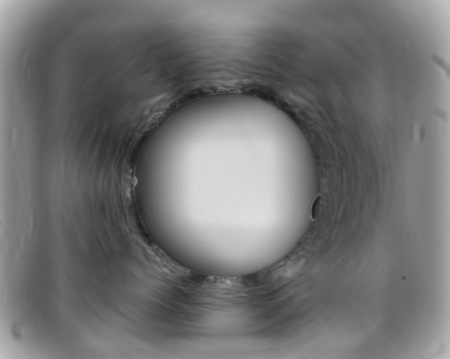X0000095950768200801110915