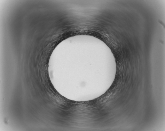 X0000095950769200801110915