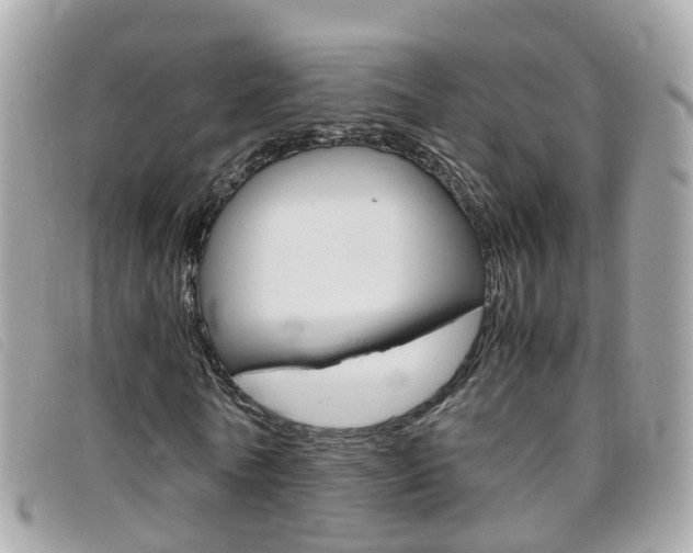 X0000095950770200801110915