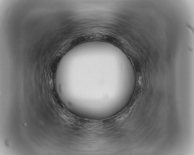 X0000095950771200801110915