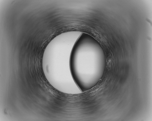 X0000095950772200801110915