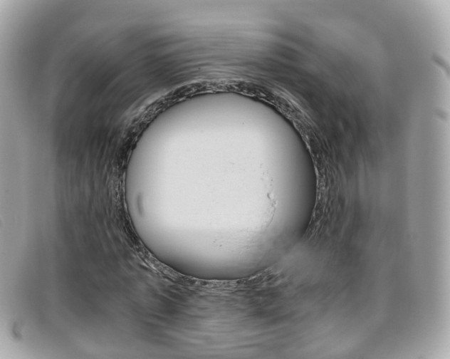 X0000095950773200801110915