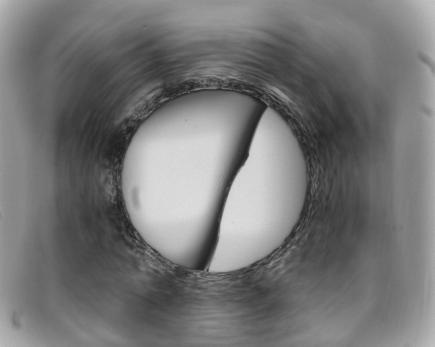 X0000095950774200801110915