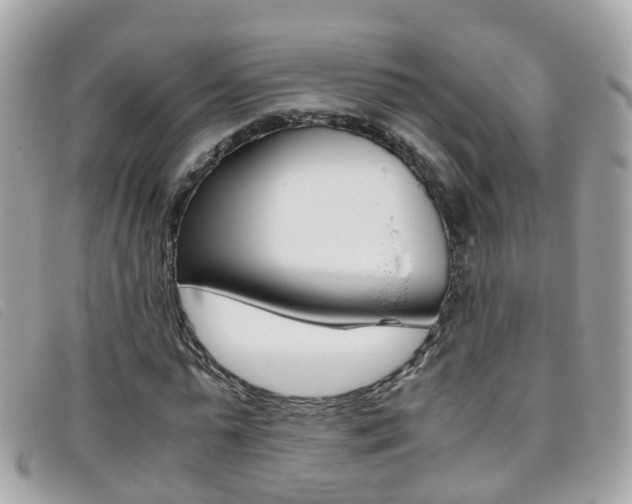 X0000095950775200801110915