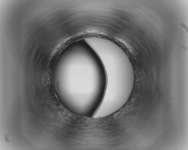 X0000095950776200801110915