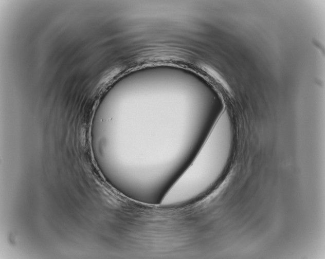 X0000095950777200801110915
