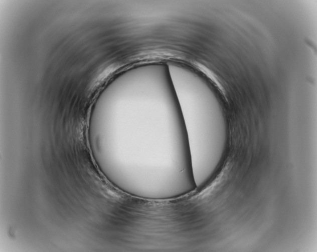 X0000095950778200801110915