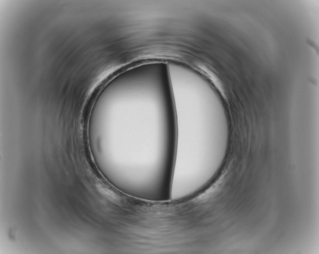 X0000095950779200801110915