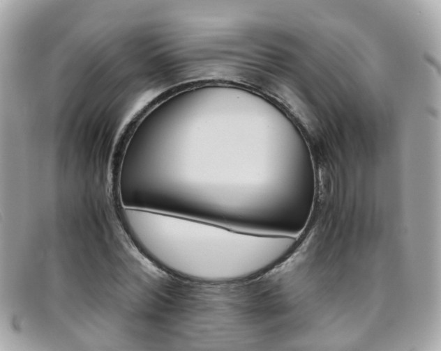 X0000095950780200801110915