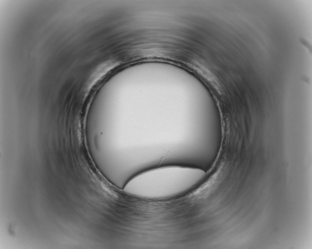 X0000095950782200801110915