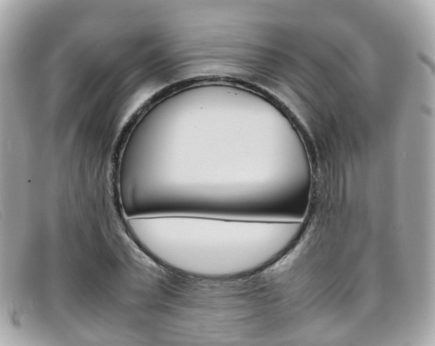 X0000095950783200801110915