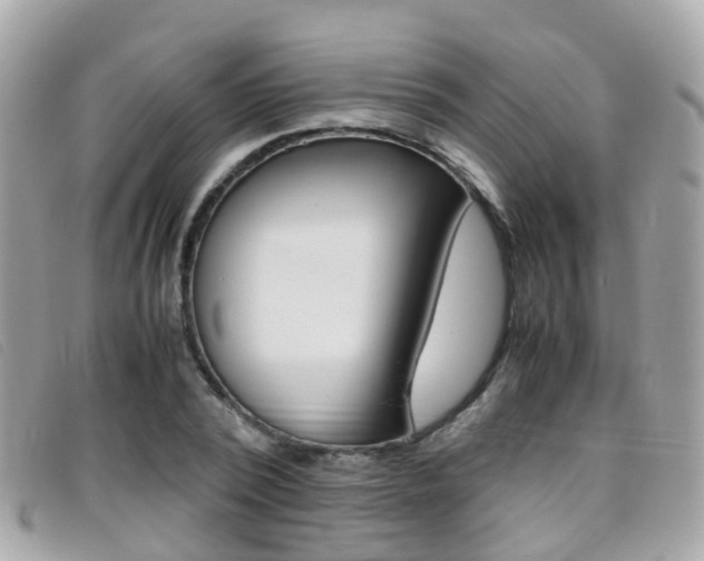 X0000095950784200801110915