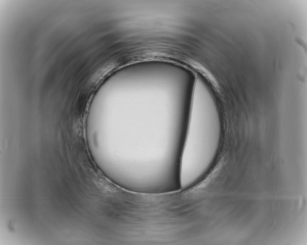 X0000095950785200801110914
