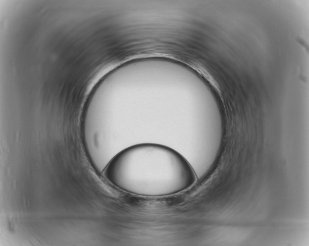 X0000095950789200801110914