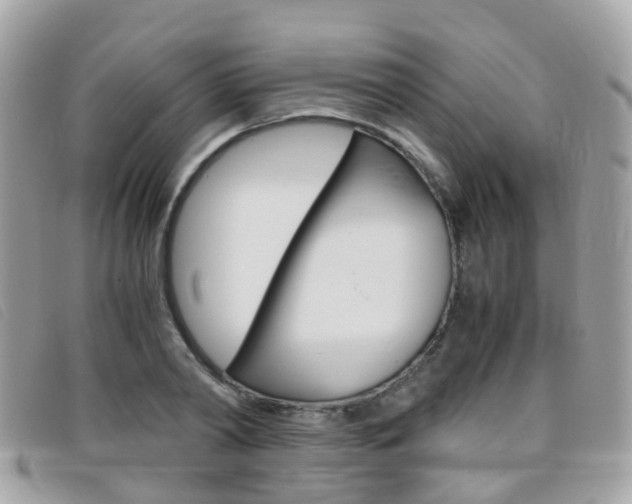 X0000095950790200801110914