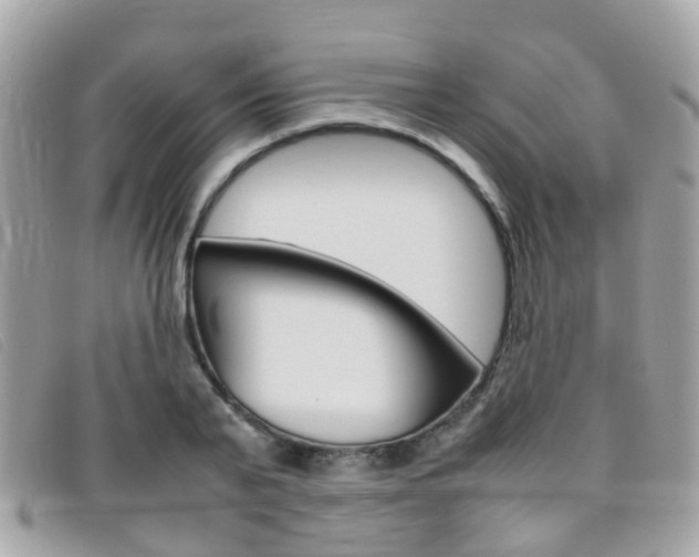X0000095950791200801110914