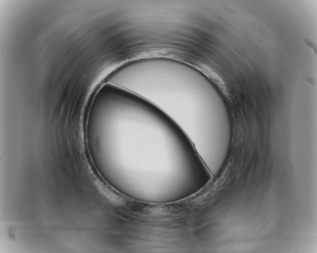 X0000095950792200801110914
