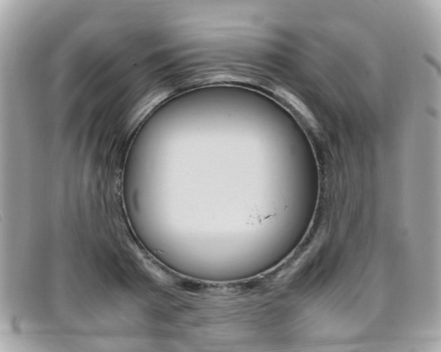 X0000095950793200801110914