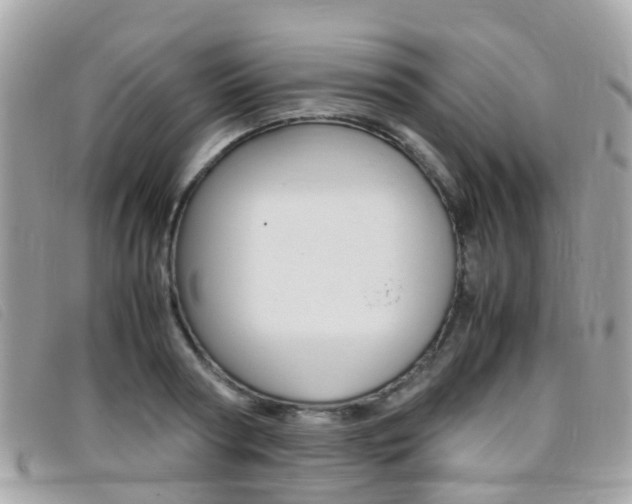 X0000095950794200801110914