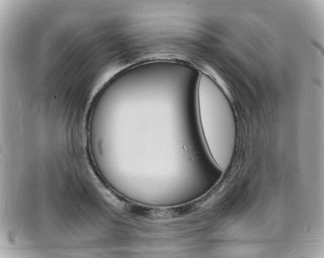 X0000095950795200801110914