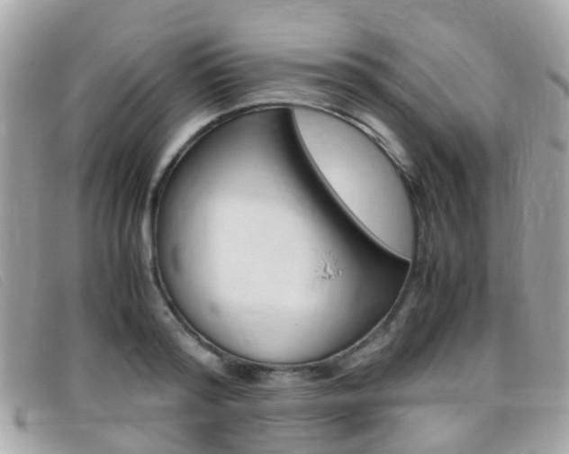 X0000095950796200801110914