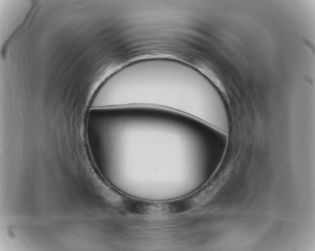 X0000095950797200801110914