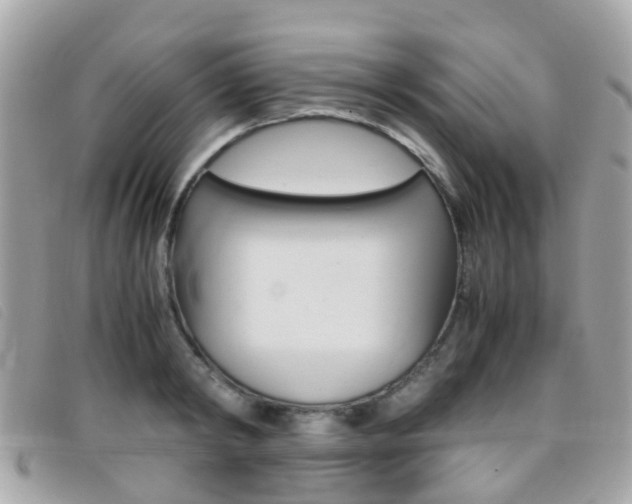 X0000095950798200801110914