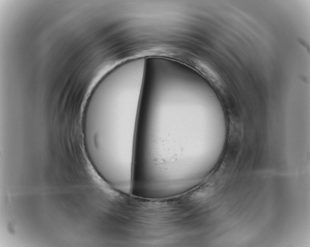 X0000095950800200801110914