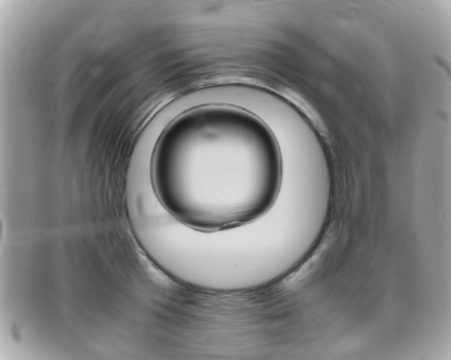 X0000095950801200801110914