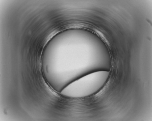 X0000095950802200801110914