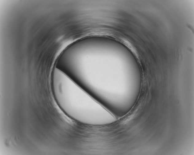 X0000095950803200801110914