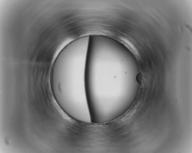 X0000095950804200801110914