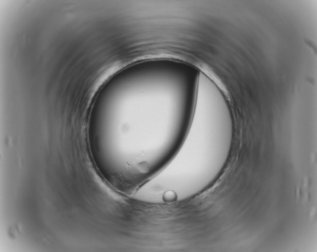 X0000095950805200801110914